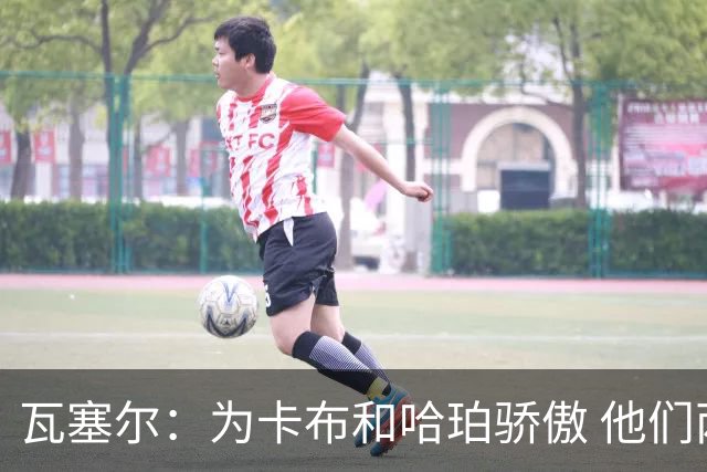 瓦塞尔：为卡布和哈珀骄傲 他们两个都有着不可限量的未来